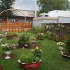 DSC03863